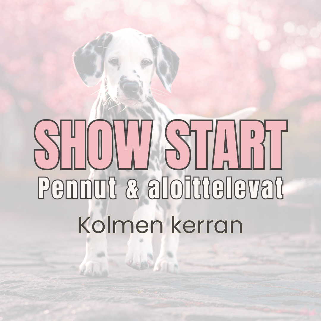 SHOW START | Pennut & aloittelevat | YLÖJÄRVI