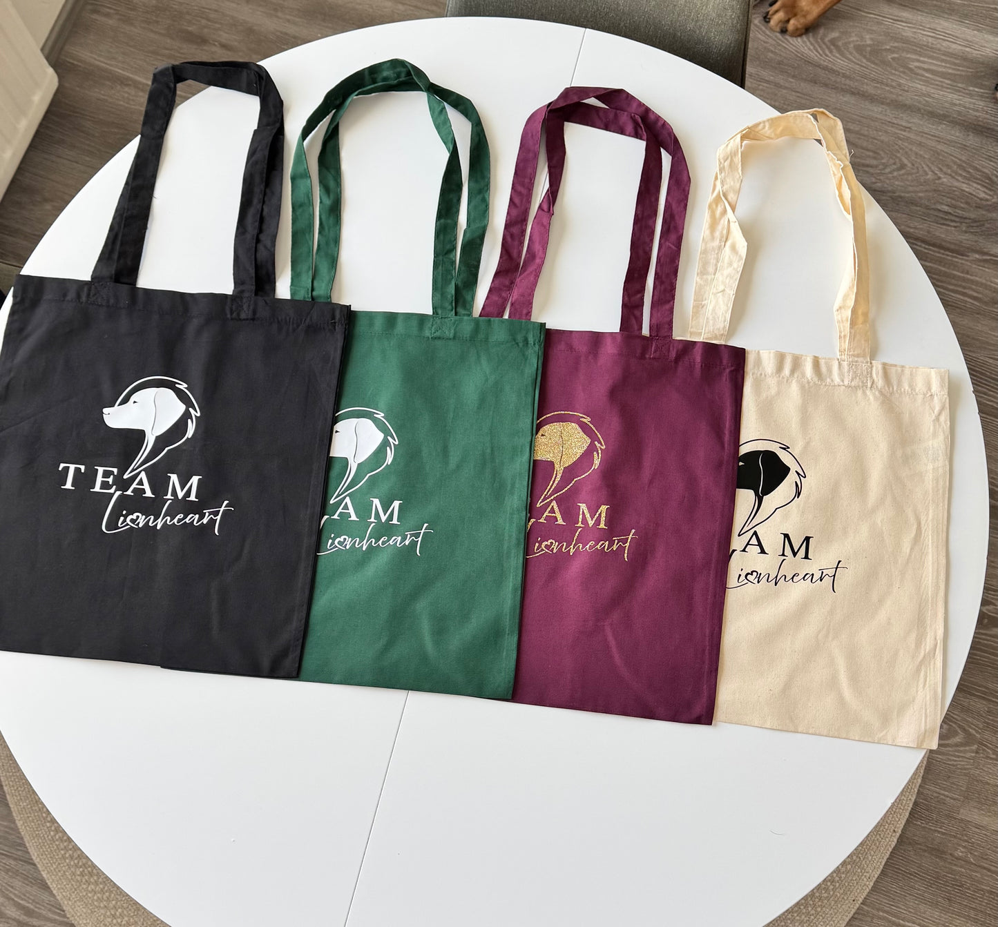 TEAM Lionheart – Kangaskassi