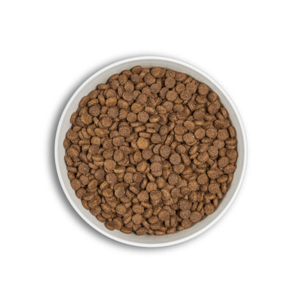 ERA Millennium Puppy Medium – Chicken & Turkey