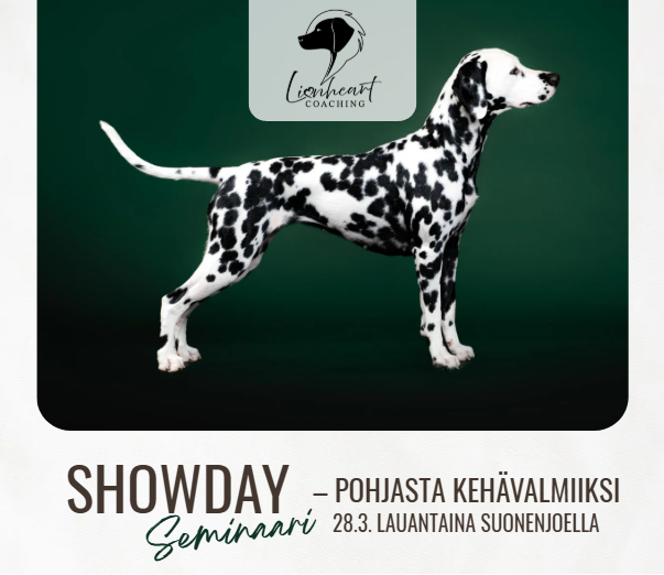 SHOWDAY - seminaari