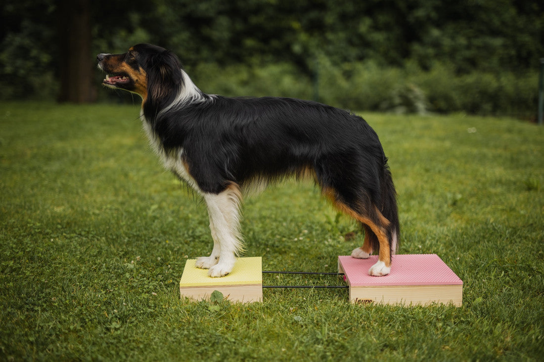 Connecting Set for Hamtal Target – liitossarja