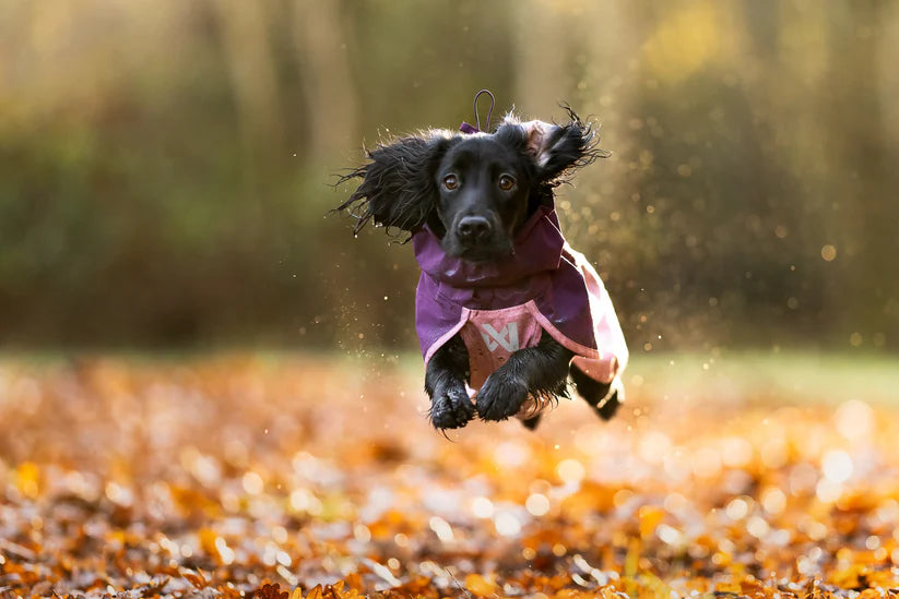 Fjord Raincoat 2.0 - sadetakki