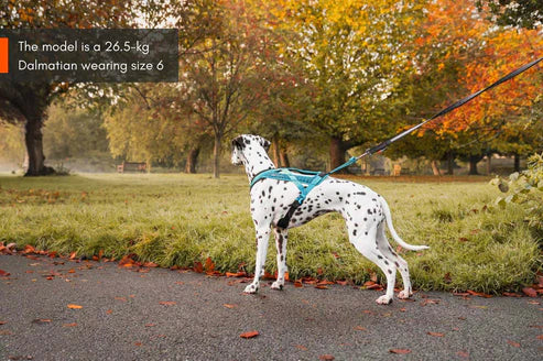 Rush Harness - vetovaljaat