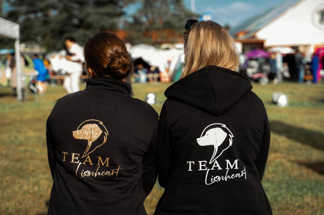 Team Lionheart - kun tekeminen puhuu puolestaan