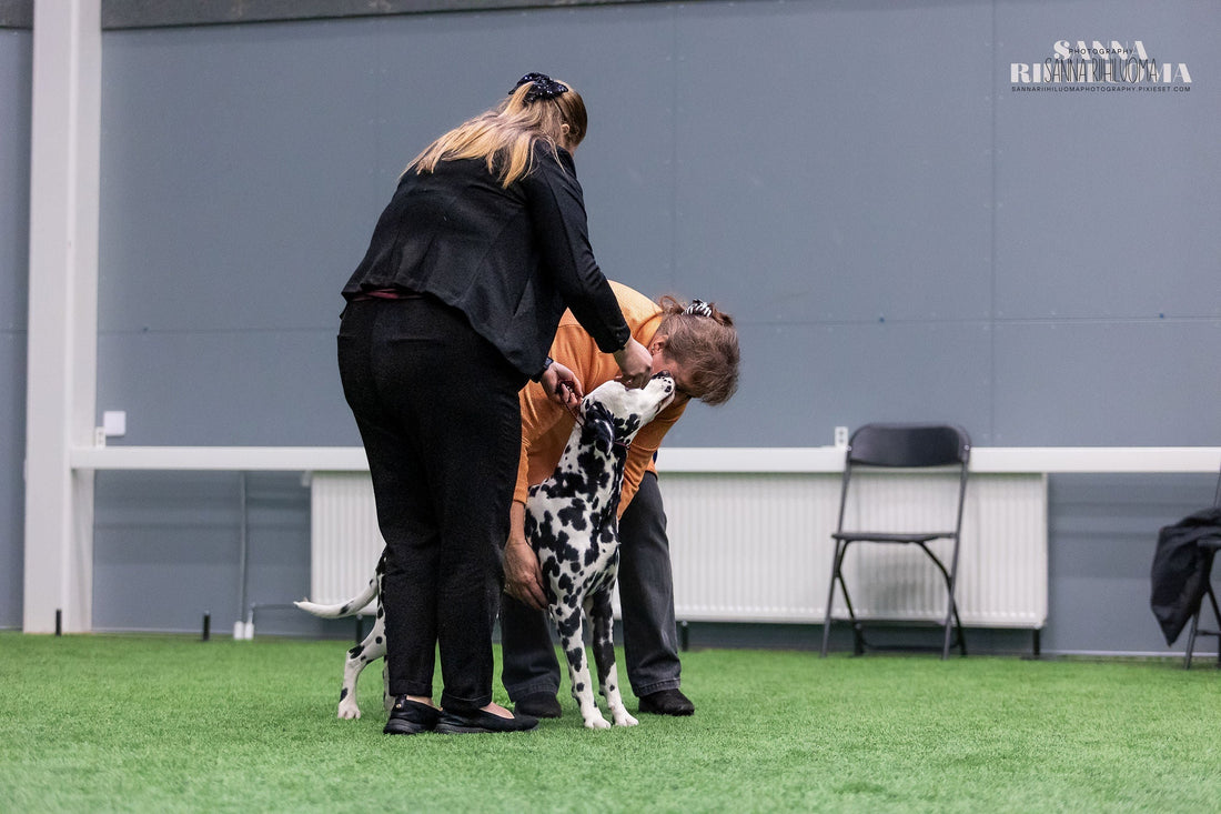 Kaikkea ei voi treenata valmiiksi