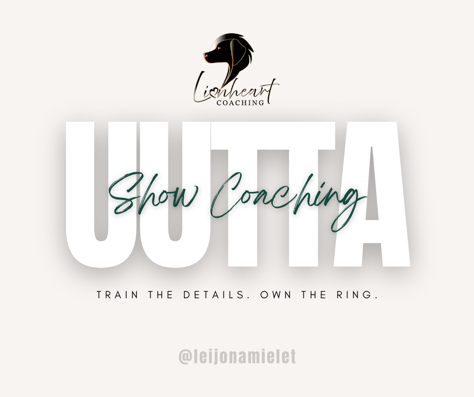 UUTTA: Matka kohti selkeämpää ja kestävämpää valmennusrakennetta