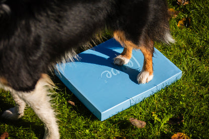 Foam Target YogoDoggo