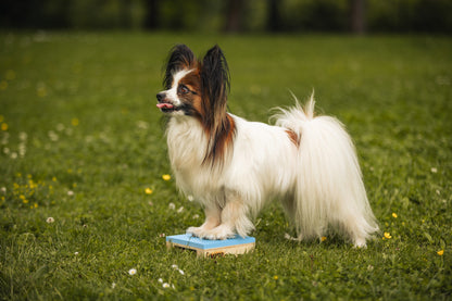 Target Hamtal Up – kevyt target-alusta