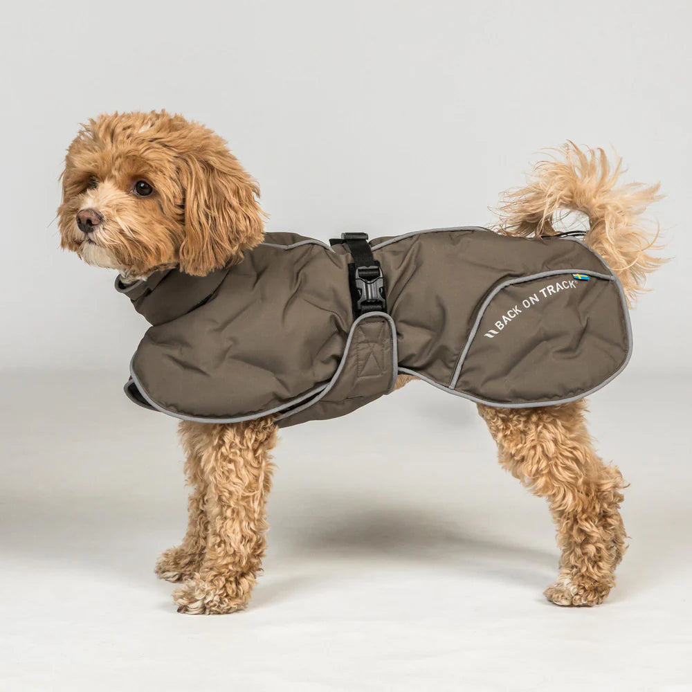 BoT BAY - koiran toppatakki