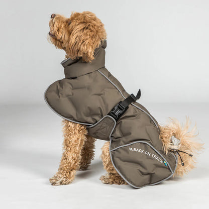 BoT BAY - koiran toppatakki