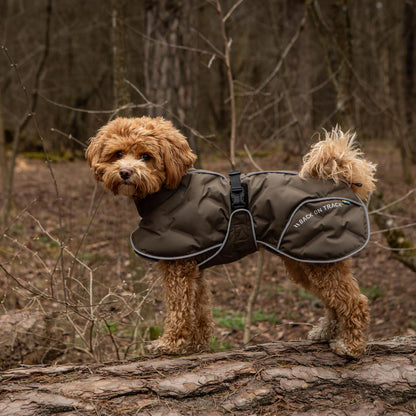 BoT BAY - koiran toppatakki