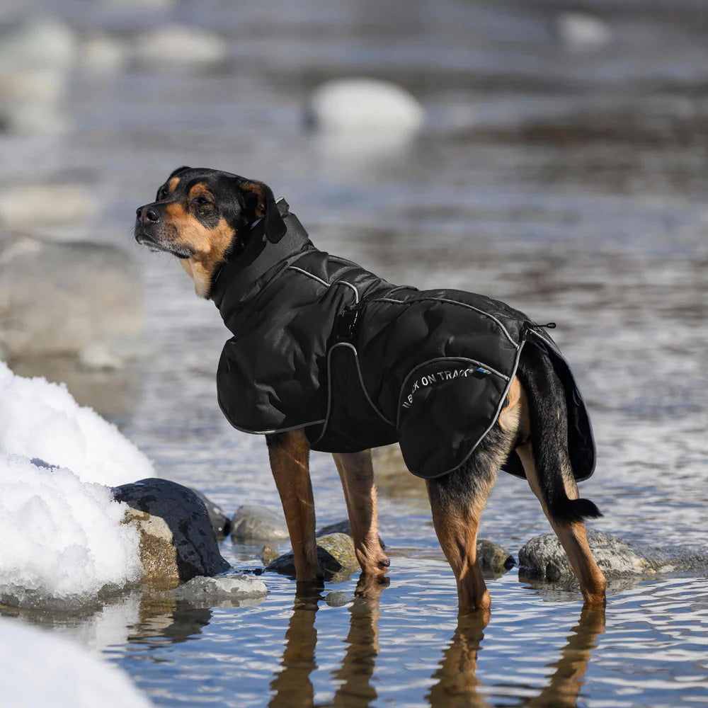 BoT BAY - koiran toppatakki