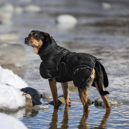 BoT BAY - koiran toppatakki