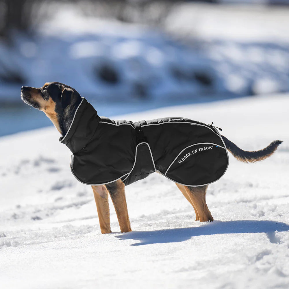 BoT BAY - koiran toppatakki