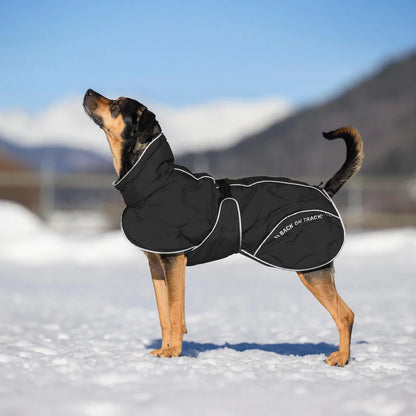 BoT BAY - koiran toppatakki