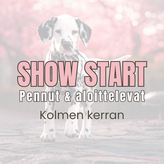 SHOW START | Pennut & aloittelevat | KUOPIO