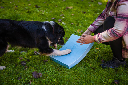 Foam Target YogoDoggo