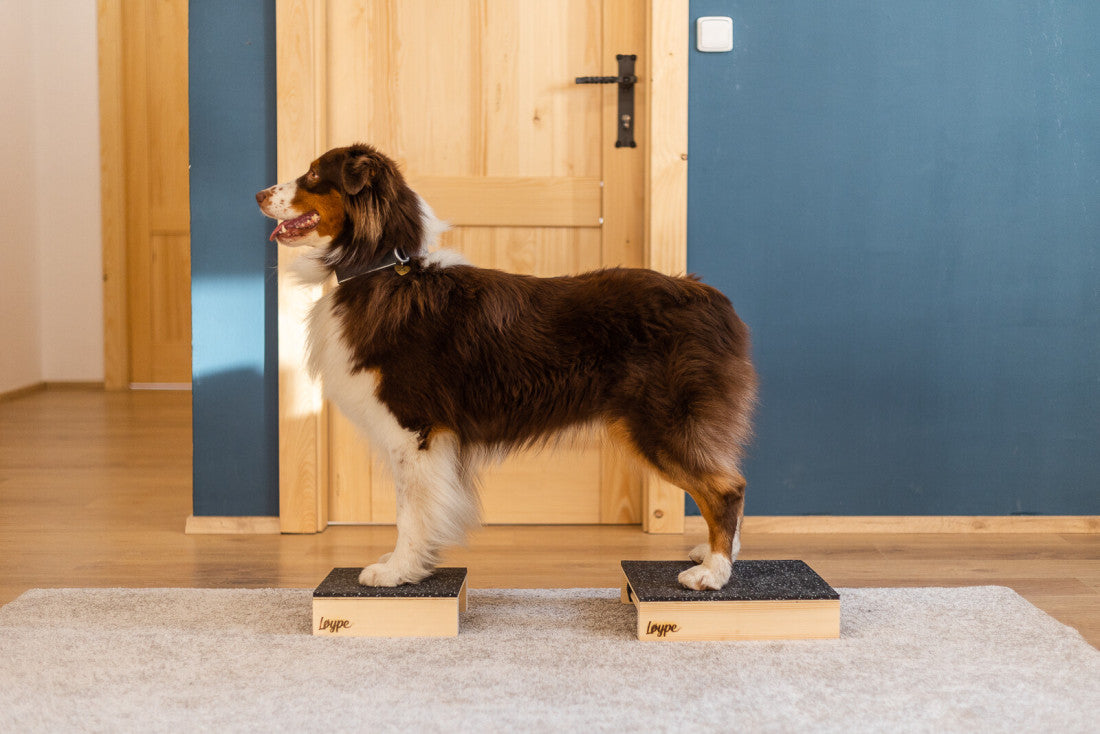 Løype Target Hamtal Tartan – kuminen target-alusta