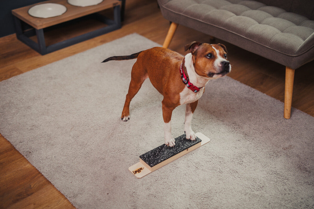 Target Step Up – korotettu target