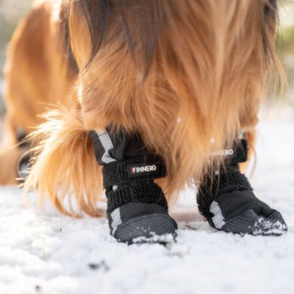 FINNERO Halla Softshell tossut