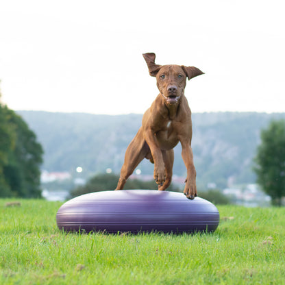 Dynair Extreme tasapainotyyny Ø 80cm