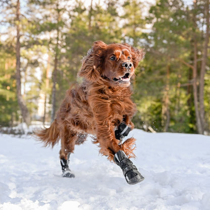 FINNERO Halla Softshell tossut