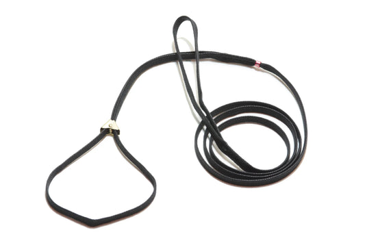 Leash with Clip - litteä puuvillainen näyttelyhihna klipsillä, 130cm