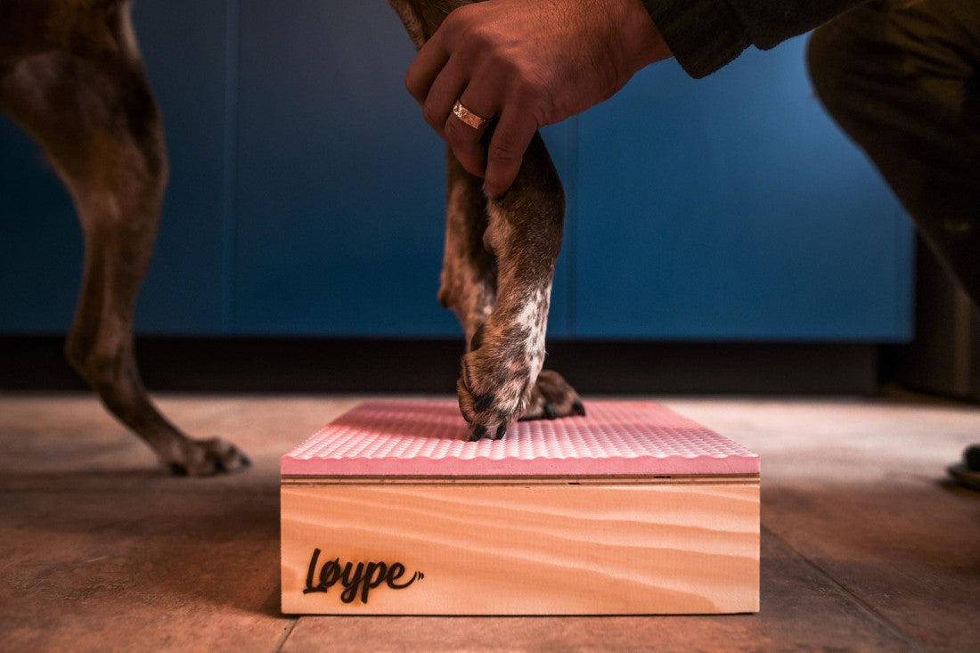 Target Hamtal Up – kevyt target-alusta