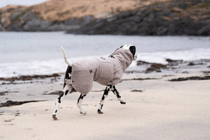 Drying Coat - koiran kylpytakki