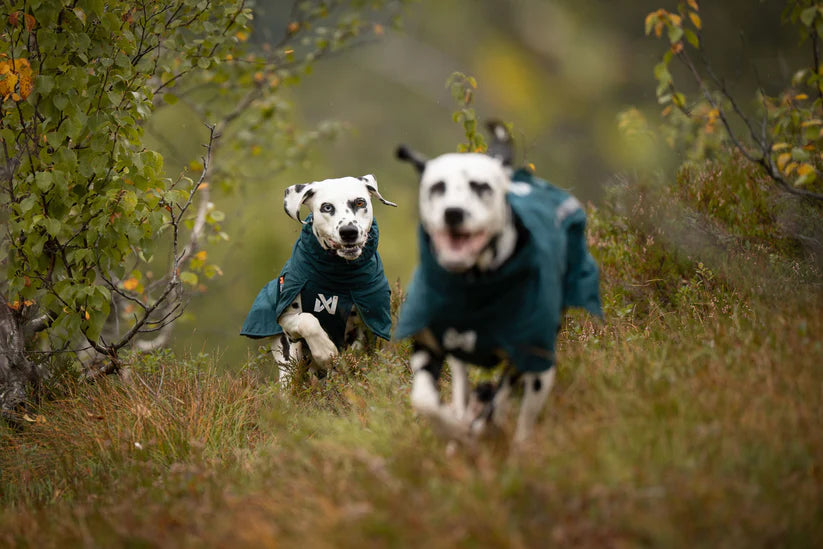 Fjord lined raincoat - vuorillinen sadetakki