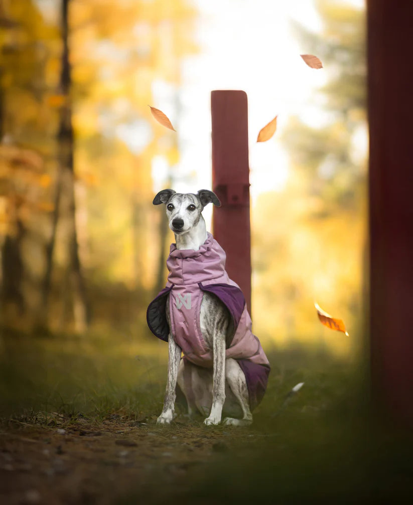 Glacier jacket 3.0 - talvitakki