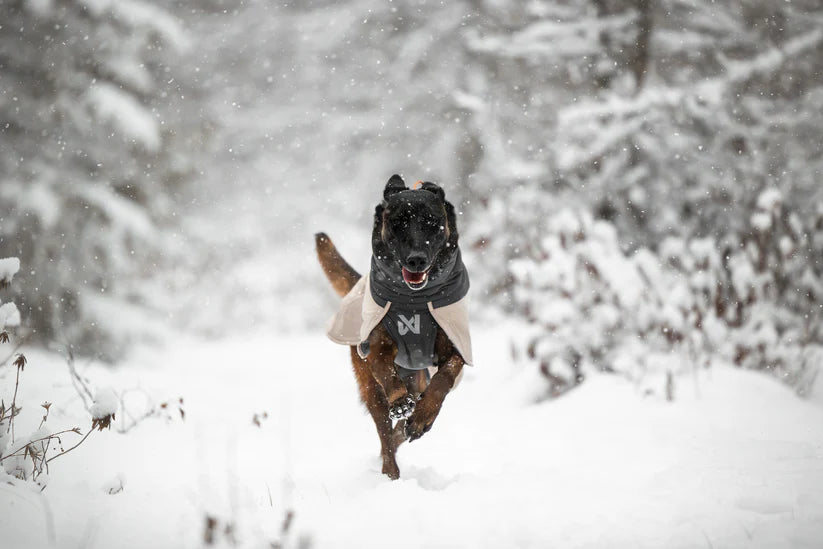 Glacier wool jacket 3.0 - talvitakki