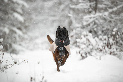 Glacier wool jacket 3.0 - talvitakki