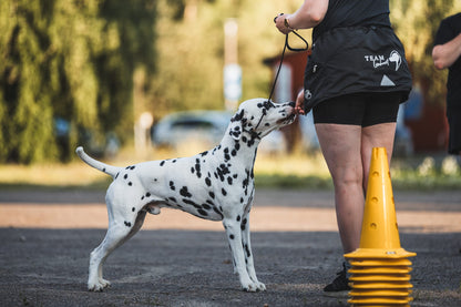 Helsitar Pro treenitasku TEAM Lionheart