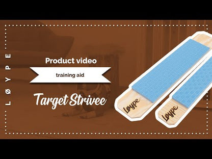 Target Strivee – tarkkuutta ja viimeisteltyä työskentelyä