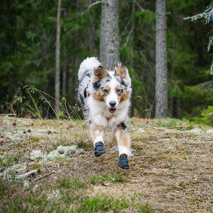 Protector Bootie -tossut