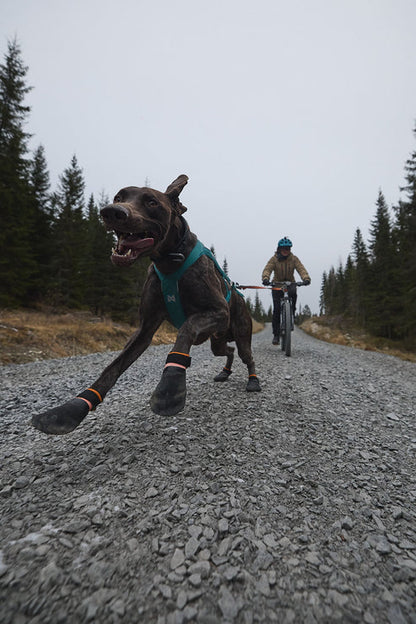 Protector Bootie -tossut