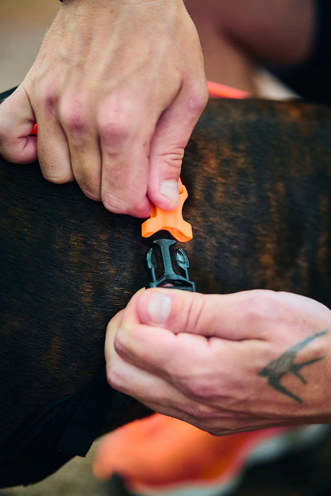 Rush Harness - vetovaljaat