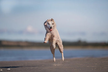 Trail Quest Fleece Overall - fleecehaalari