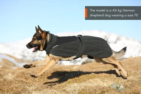 Wool Dog Jacket