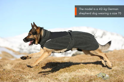 Wool Dog Jacket